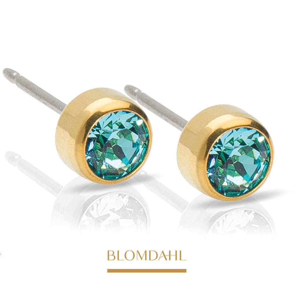 Bezel Turquoise 5 mm SFJ gold titanium medical earrings