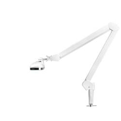 Led workshop lamp elegante 801-s with vise standard white