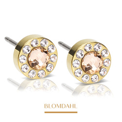 Brilliance Halo Crystal/Gold 6 mm SFJ gold titanium medical earrings