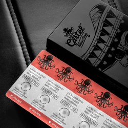 Cartridge for tattoo el cartel v2 - 0.30 15 rm-w longtaper 10pcs.