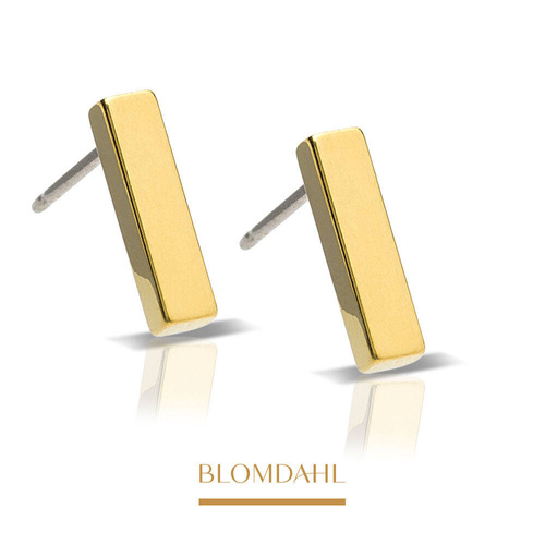 Plain Straight 10 mm earrings SFJ gold medical titanium
