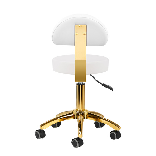 Cosmetic stool am-304g gold white