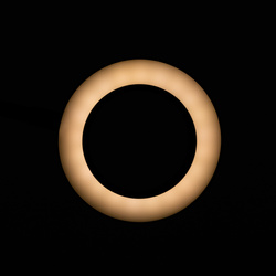 Led snake ring desk magnifier lamp black