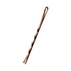 Hairdresser hair pins 120 pcs e-57 5,6 cm gold