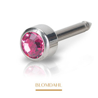 Bezel Rose 4 mm silver titanium medical ear piercing earring